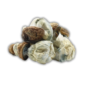 Bluey Vuitton Mushroom Strain For Sale