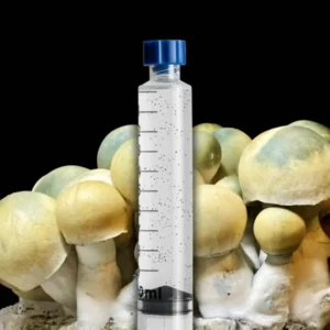 Bluey Vuitton liquid culture