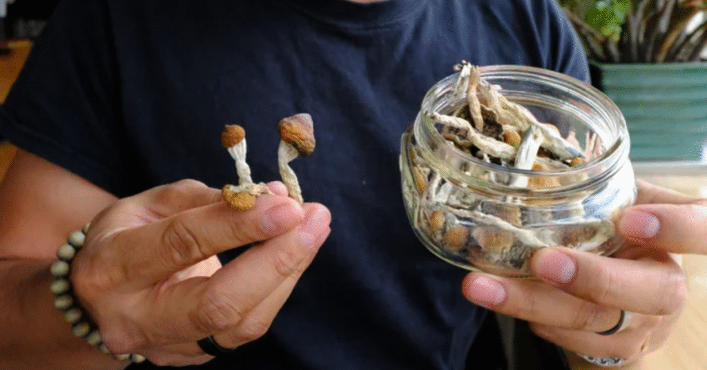 where to buy magic mushrooms legally